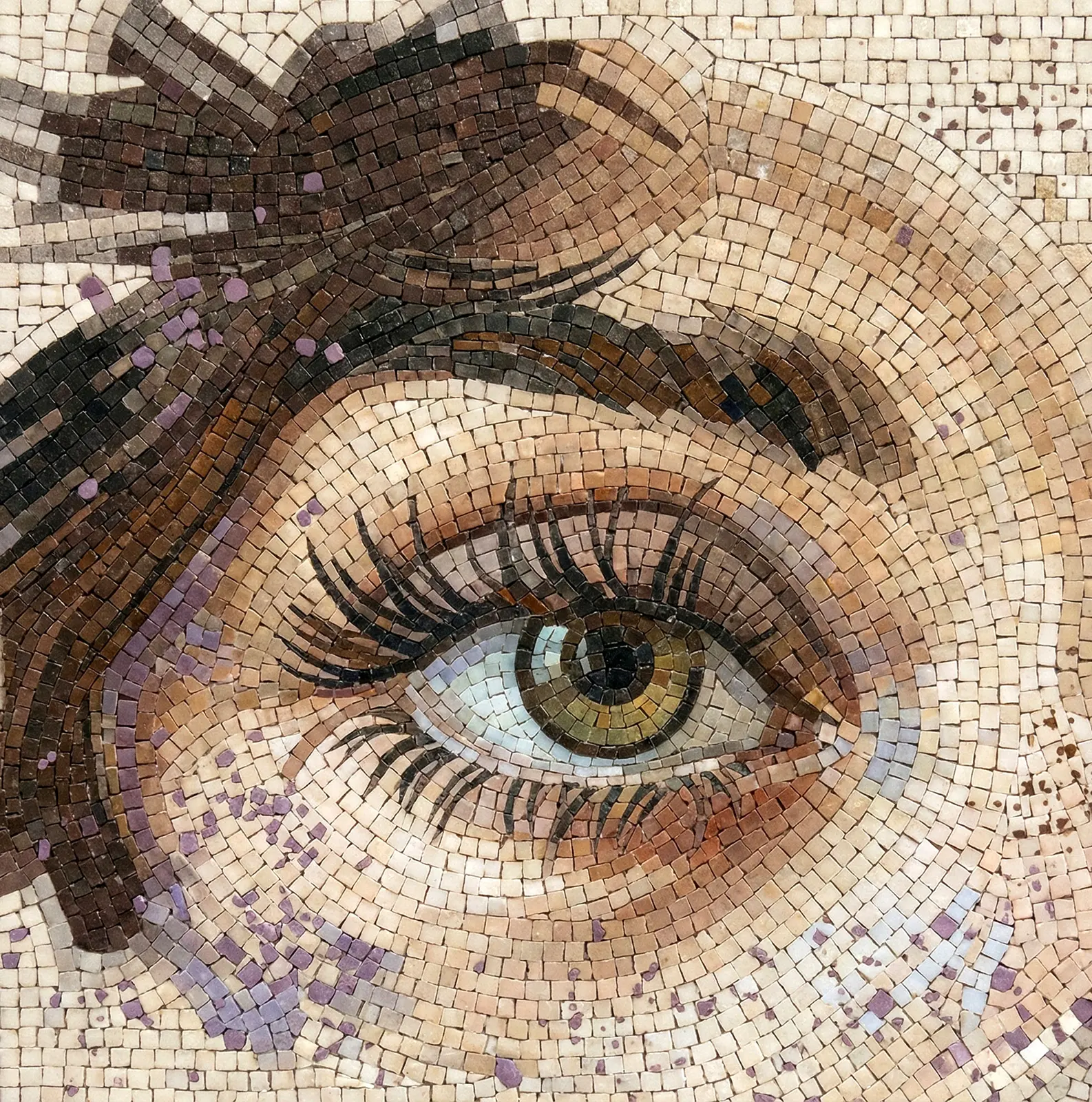 EYE STUDY