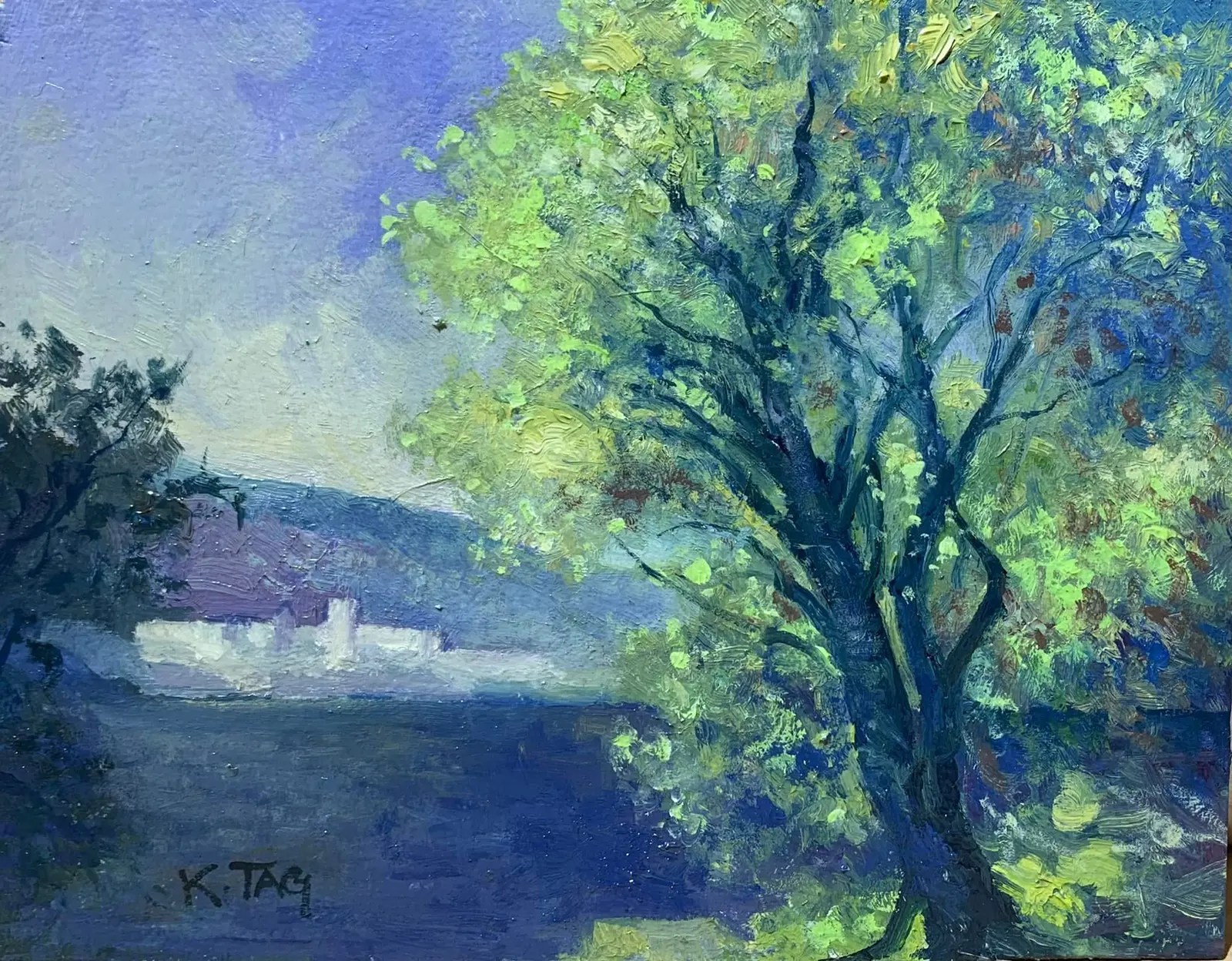 MONET 7